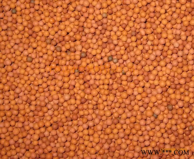 珠海瑞林牌 生物陶粒滤料价格/惠州生物陶粒滤料厂家图1