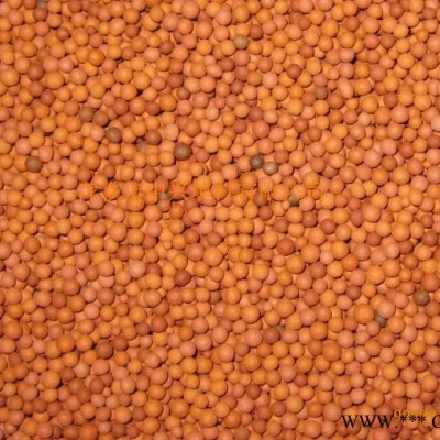 珠海瑞林牌 生物陶粒滤料价格/惠州生物陶粒滤料厂家