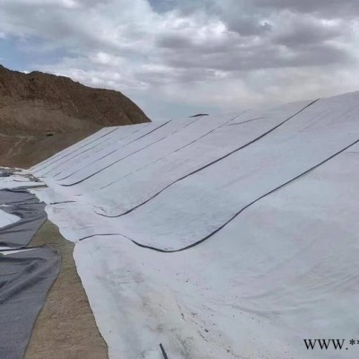 厂家供应人工湖GCL膨润土防水毯 垃圾填埋场覆膜膨润土防水毯