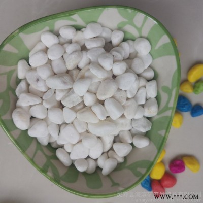 供应小树坑用白卵石 白云石石子 白色球石