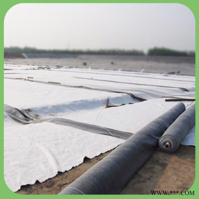 钠基膨润土防水毯  水泥毯 直销