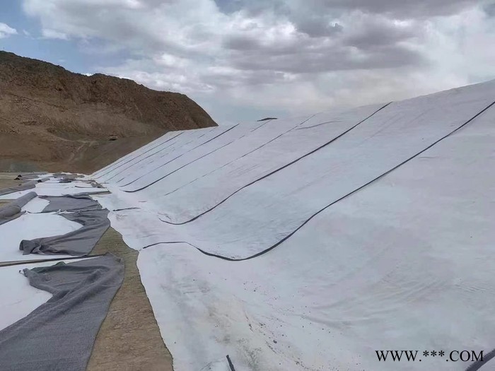膨润土防水毯 批发人工湖垃圾填埋场防渗用膨润土防水毯 锐宸供应品质保障