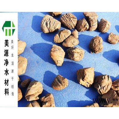 供应河南生物页岩陶粒滤料厂家，价格