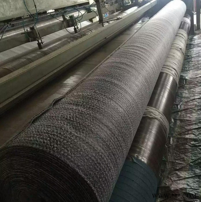 国标4800g膨润土防水毯 GCL防水毯 纳基膨润土防水毯 防水毯 防渗垫