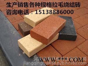 全国供应河南建菱200*100*50防火耐磨环保页岩烧结砖广场砖