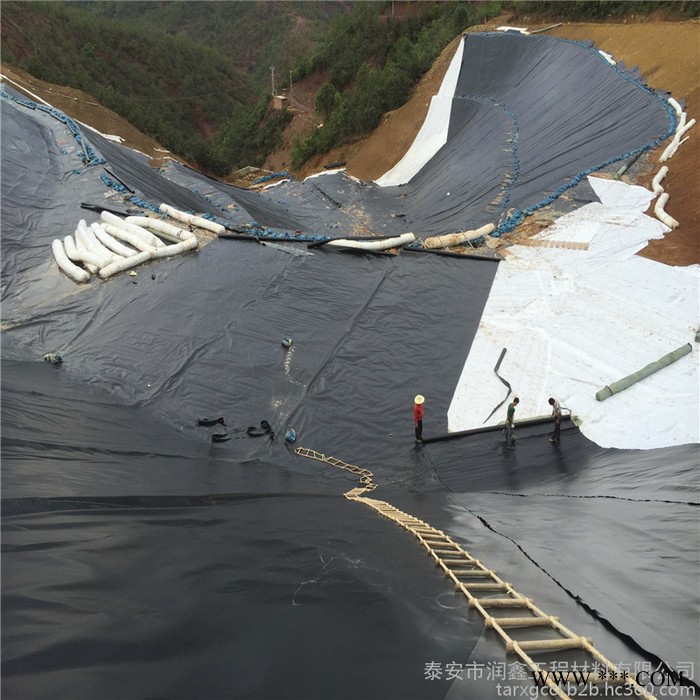 泰安润鑫  养殖膜  厂家直供衡阳市衡东养殖膜  土工膜 膨润土防水毯 定制生产 量大价优
