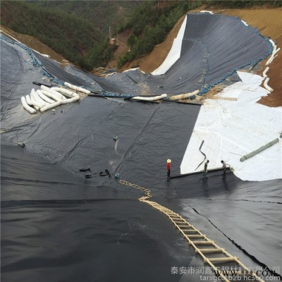 泰安润鑫  养殖膜  厂家直供衡阳市衡东养殖膜  土工膜 膨润土防水毯 定制生产 量大价优