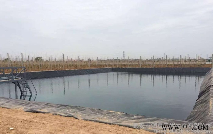 泰安润鑫 全新料土工膜 厂家直供 山西省大同市 1.0mm沼气池防渗膜 膨润土防水毯蓄水池土工膜 定制生产 量大价优