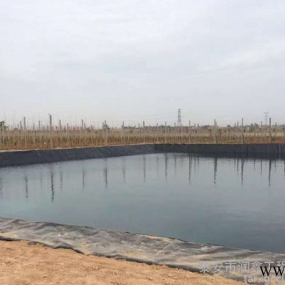 泰安润鑫 全新料土工膜 厂家直供 山西省大同市 1.0mm沼气池防渗膜 膨润土防水毯蓄水池土工膜 定制生产 量大价优