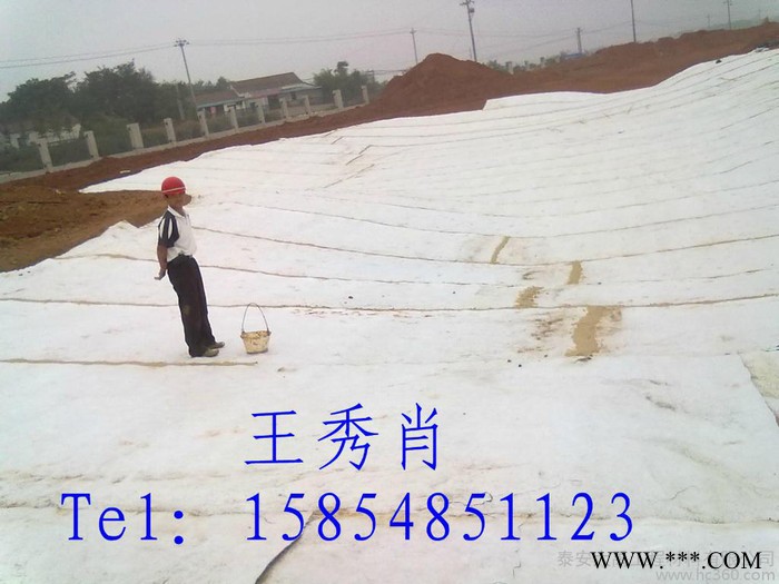 供应大禹膨润土防水毯 成都膨润防水毯供应