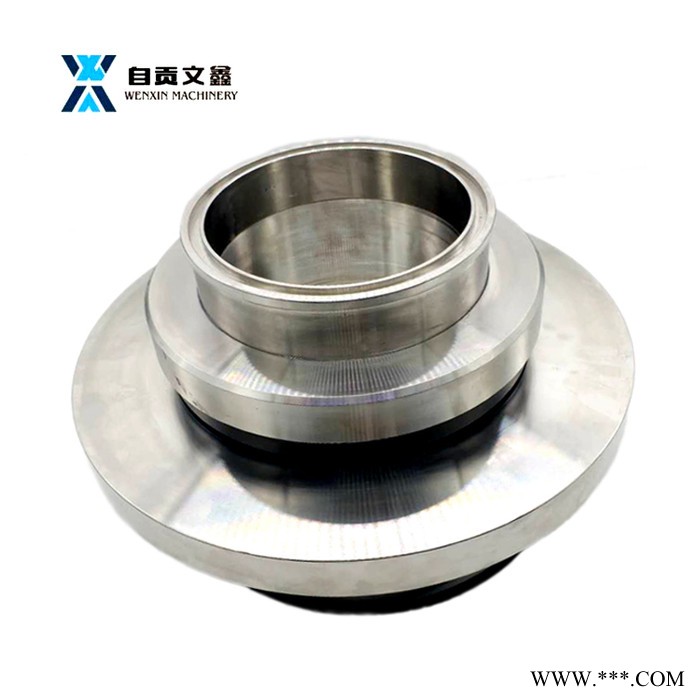 供应水泵硫泵机械密封 ACP-TL600-24机械密封图1