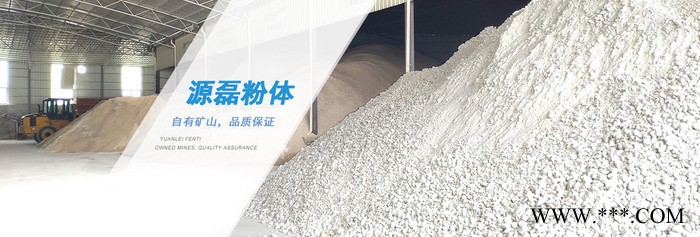 超细硫酸钡批发_透明塑料用超细改性硫酸钡_源磊粉体供应广东源磊粉体 厂家** 超细改性硫酸钡 硫酸钡超细 超细改性沉淀硫