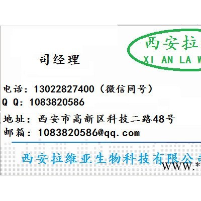 食品级羟丙基二淀粉磷酸酯生产 直销