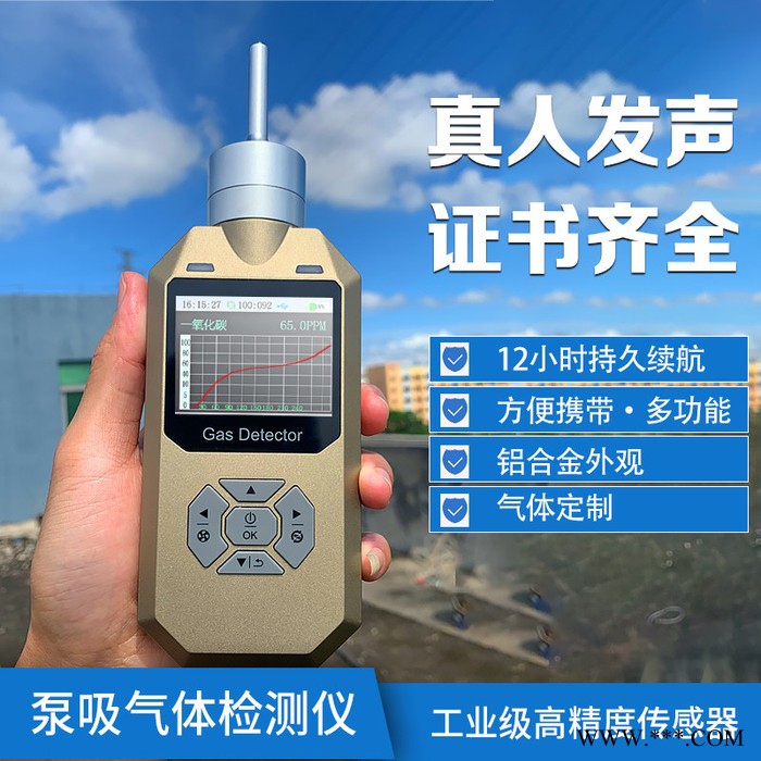 普利通PLT300-PH3 手持泵吸式**检测仪 高精度**气体检测仪 PH3**浓度报警仪监测仪图1