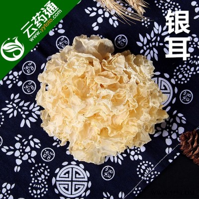 福建古田特产无硫银耳干货白木耳雪耳新鲜银耳糯银耳300g一袋包邮