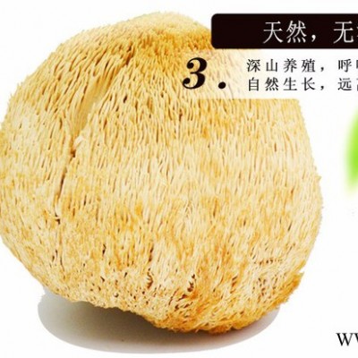 大兴安岭特产猴头菇养胃东北**猴头菇菌类山货干货店无硫200g食用菌