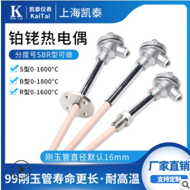 S型B型R型单双铂铑热电偶耐高温1800刚玉管WRP-130铠装温度传感器图3