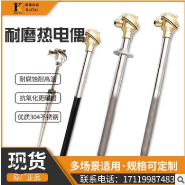 耐磨热电偶热电阻K型PT100温度传感器WRNK-130/230/330/430 防爆图3