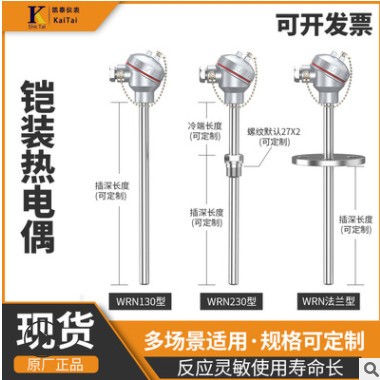铠装热电阻WZP-430 16*600*450工业化工热电阻温度传感器热电偶图3