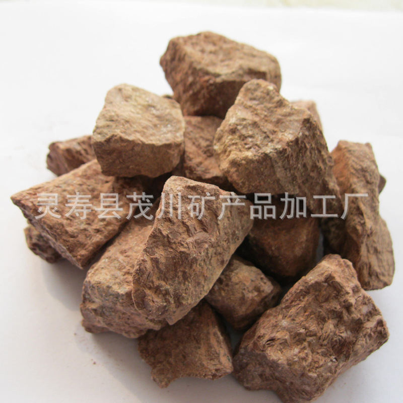 照片 048
