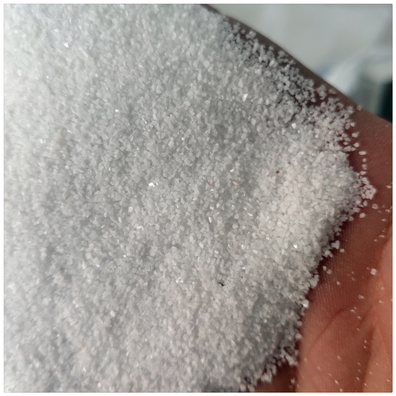 辰洋供应海沙 水洗海沙 沙疗沙** 量大优惠