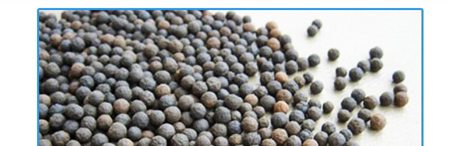 生物陶粒滤料_02