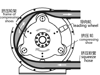 ZHP65挤压软管泵