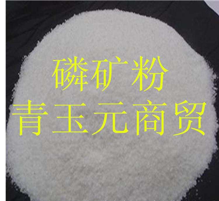 未命名_副本2