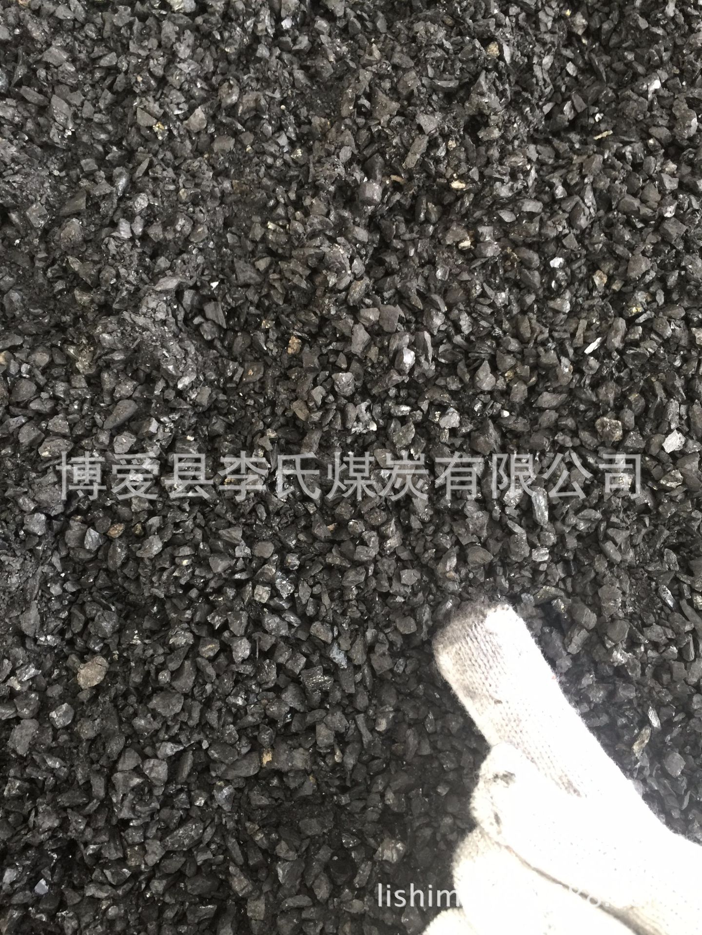 神木煤沫2