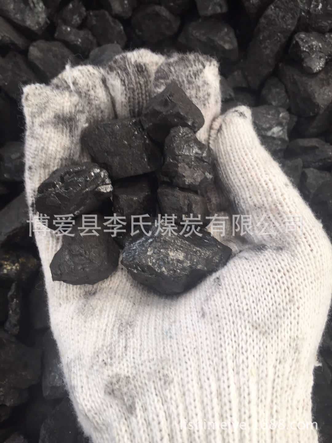 13籽1