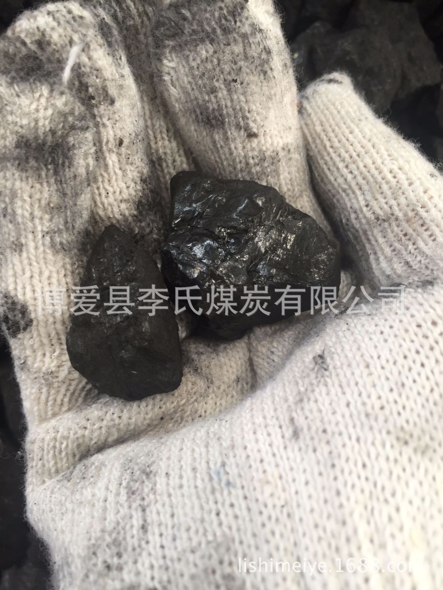 13籽1