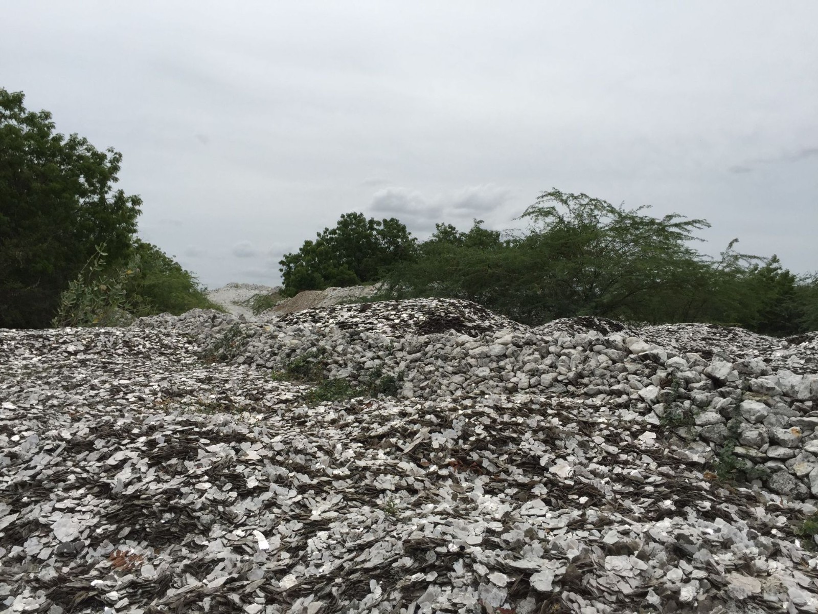 云母纸-506 507 501 特种云母纸 定制云母纸图3