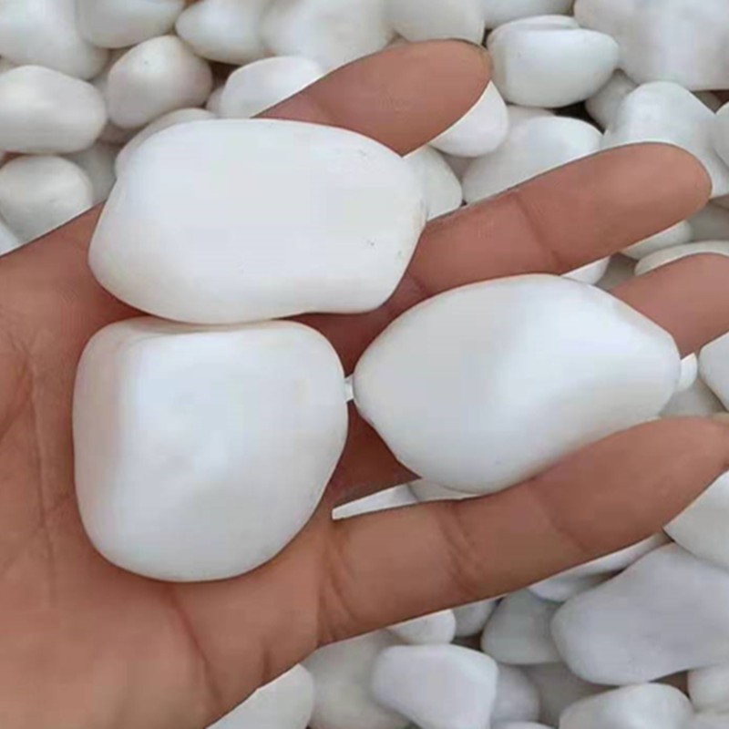 加工定制白色鹅卵石 雨花石 园林装饰石头白云石砾石鹅卵石大批量图3