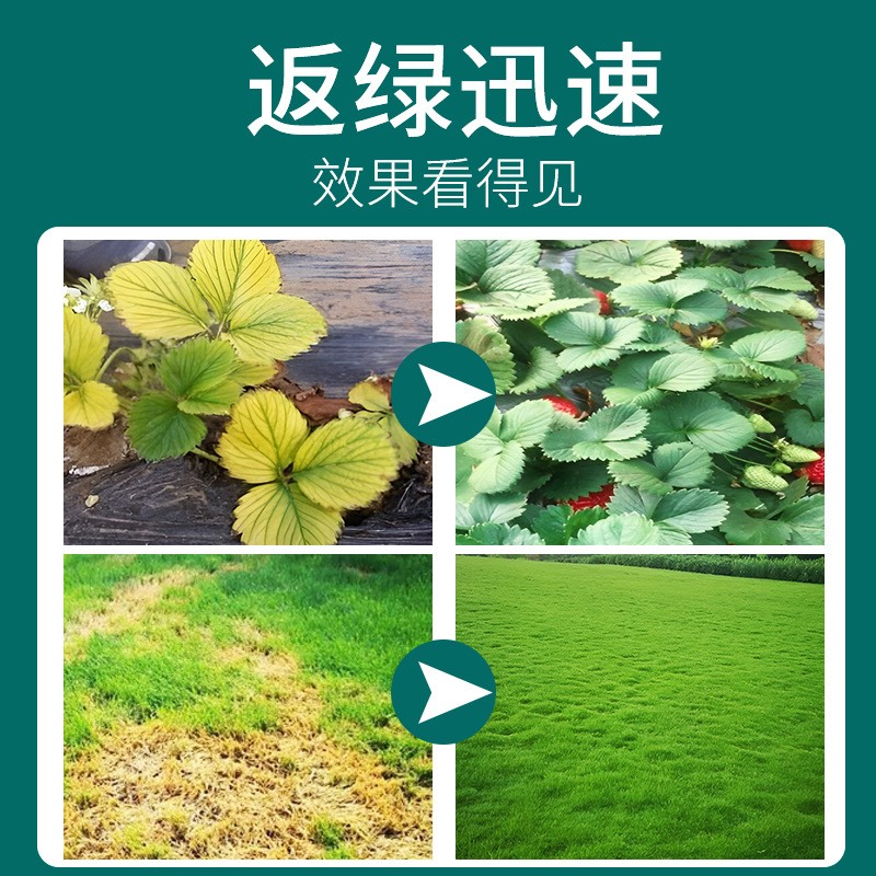 一喷绿氨基酸叶面肥水溶肥黄叶卷叶营养液农用果蔬叶绿素厂