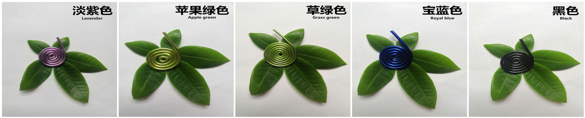 QQ图片008117132705_副本_副本