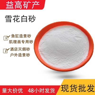 雪花白石英砂 儿童沙坑用白砂 真石漆涂料白沙子 造景肌理砂