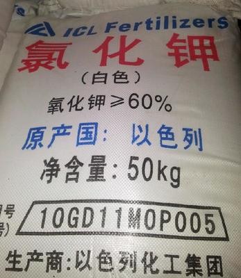现货供应氯化钾 以色列氯化钾电镀钾盐 水产养殖图2