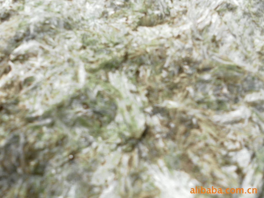 SAM_0483
